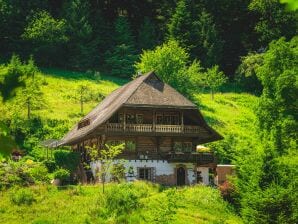 Ferienhaus Holzhackhof - Nordrach - image1