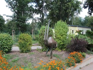 Bungalow Senftenberg Environnement 11