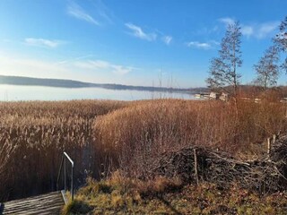 Bungalow Senftenberg Environnement 15