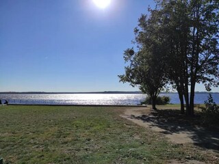 Bungalow Senftenberg Environnement 26