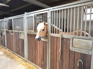 Appartamento Grevenbroich  34