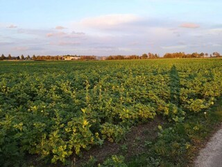 Appartamento Grevenbroich Ambiente 31