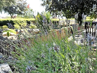 Appartamento Grevenbroich  32