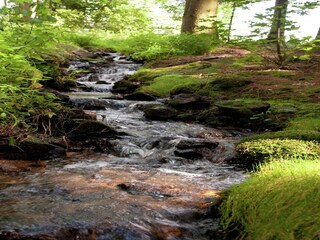 Casa per le vacanze Viechtach Ambiente 18