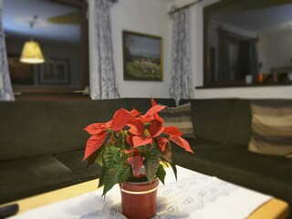 Ferienhaus Viechtach  29