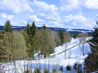 Ferienhaus Masserberg Außenaufnahme 7