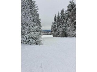 Casa per le vacanze Masserberg Ambiente 38