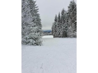 Vakantiehuis Masserberg Omgeving 29