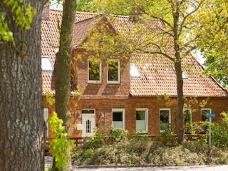 Appartement Plau am See Environnement 23