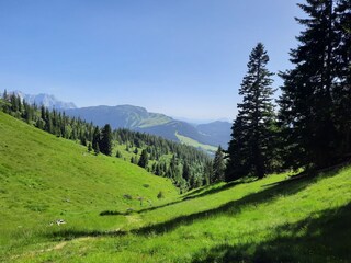 Wandern auf der Winklmoos