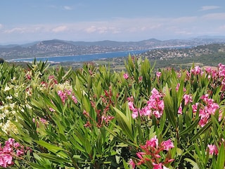 Vakantieappartement La Croix-Valmer Omgeving 20