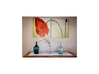 Casa de vacaciones Feistritz ob Bleiburg Características 30