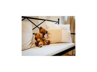 Holiday house Feistritz ob Bleiburg Features 24