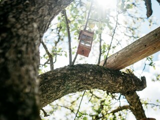 Vakantiehuis Feistritz ob Bleiburg Buitenaudio-opname 9