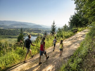Vakantiehuis Feistritz ob Bleiburg Omgeving 32