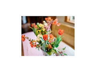 Casa per le vacanze Feistritz ob Bleiburg Caratteristiche 24