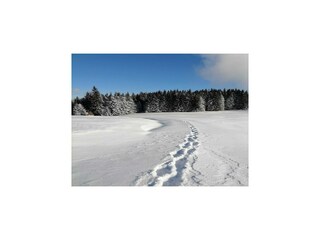 Vakantiehuis Prebl  31