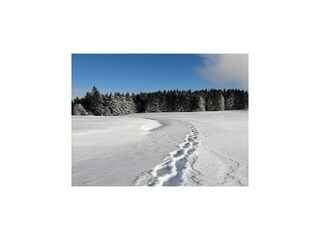 Ferienhaus Prebl  28