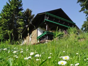 Vakantiehuis Am Hermannsberg, Oberschönau - Oberschönau - image1