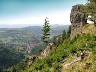 Maison de vacances Oberschönau Environnement 40