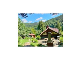 Holiday house Oberschönau Outdoor Recording 4