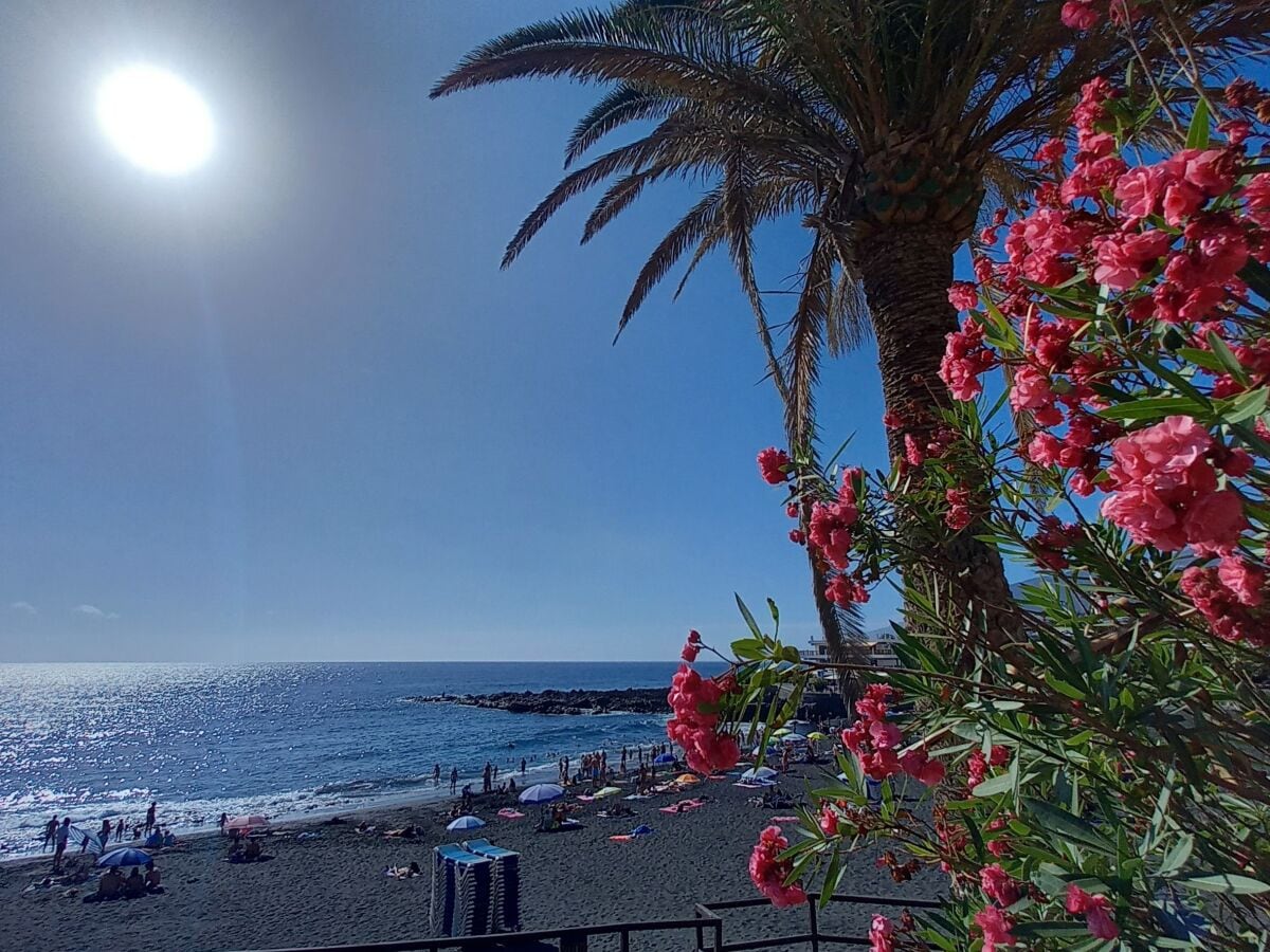 Playa de la Arena