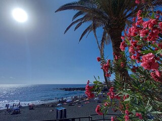 Playa de la Arena