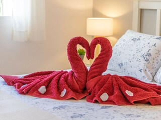 Appartamento per vacanze Arenal d'en Castell Caratteristiche 33