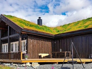 Vakantiehuis Welt Buitenaudio-opname 4