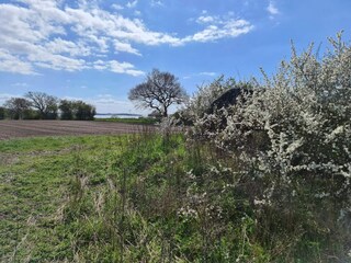 Casa per le vacanze Ebberup  10