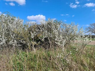 Casa per le vacanze Ebberup  29