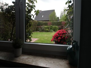 Appartement Hage Buitenaudio-opname 1