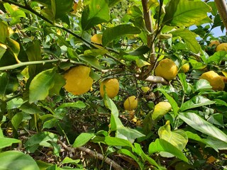 Villa Bellreguard Außenaufnahme 8