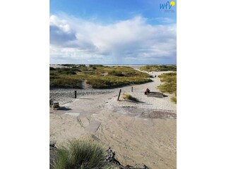 Vakantieappartement Borkum Omgeving 23