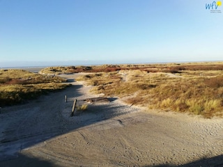 Appartamento per vacanze Borkum Ambiente 24