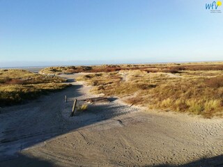 Vakantieappartement Borkum Omgeving 24