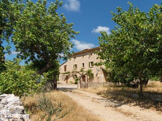 Cottage Pollensa Outdoor Recording 6