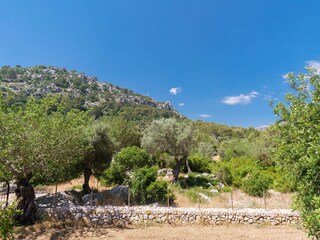 Cottage Pollensa Outdoor Recording 9