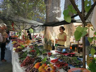 Casale Pollensa Ambiente 38