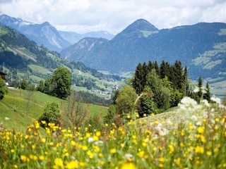 Appartement Neustift im Stubaital Omgeving 36