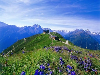 Apartment Neustift im Stubaital Umgebung 36