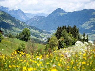 Appartamento Neustift im Stubaital Ambiente 31