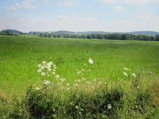 Appartamento Lissendorf Registrazione all'aperto 6