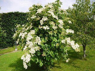 Appartamento Lissendorf Registrazione all'aperto 2