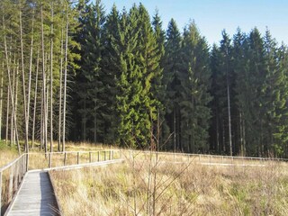 Apartment Lissendorf Umgebung 36