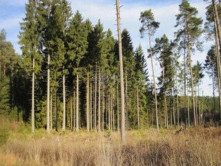 Appartamento Lissendorf Ambiente 39