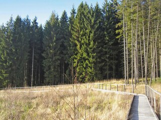 Appartamento Lissendorf Ambiente 19