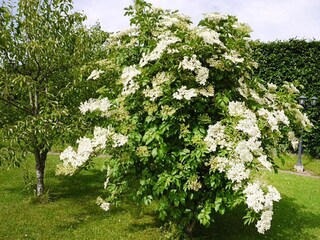 Appartamento Lissendorf  39