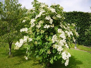 Apartment Lissendorf Outdoor Recording 10