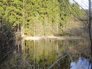 Apartment Lissendorf Outdoor Recording 11